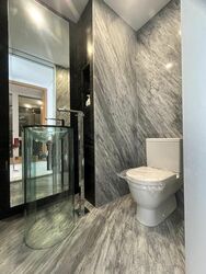 St. Regis Residences (D10), Apartment #510498041